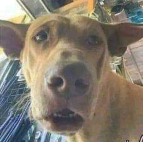 Không hay, đọc lẩn mẩn ko rút ra được 1 cái gì