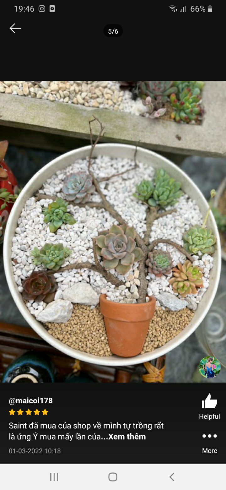 GHẾ XINH .GIÁ TỐT.MÌNH MUA CỦA SHOP NHIỀU RỒI GHẾ XINH .GIÁ TỐT.MÌNH MUA CỦA SHOP NHIỀU RỒI