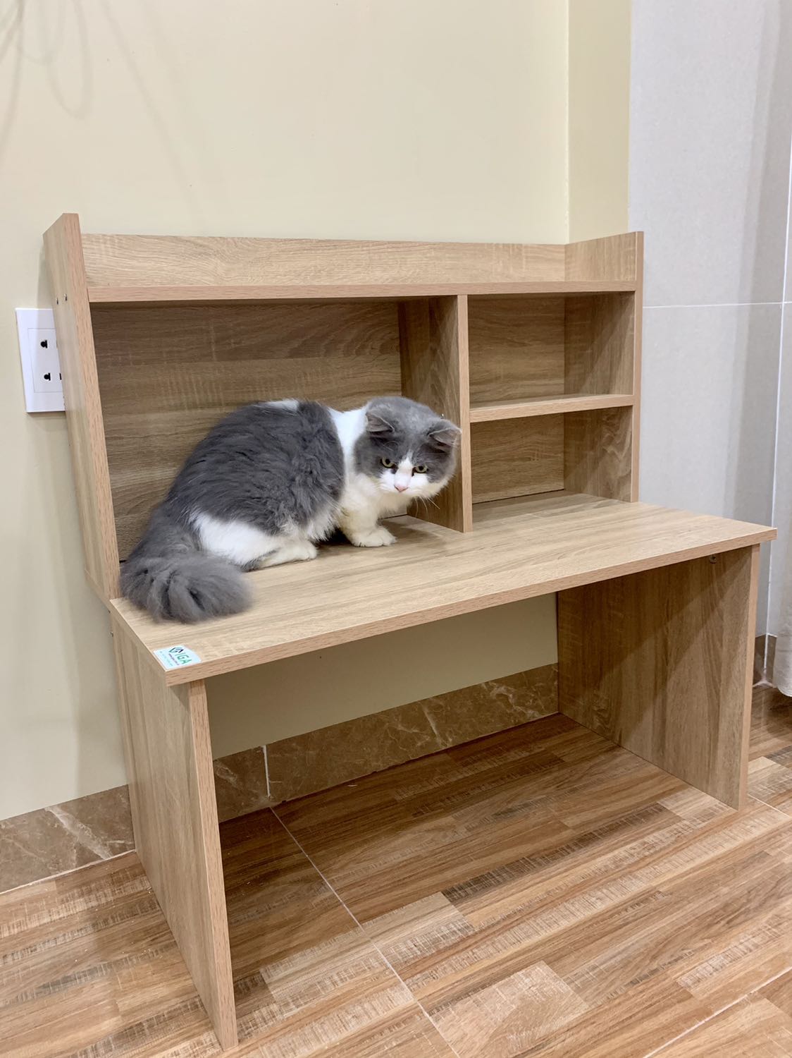 Đối với 1 đứa con gái như mình thì mình đã gáp đóng ên trong vòng 1 tiếng 28 phút. Mọi người nên mua nhé. Rất đẹp và đáng tiền. Chủ shop cũng rất dễ thương nữa. Đối với 1 đứa con gái như mình thì mình đã gáp đóng ên trong vòng 1 tiếng 28 phút. Mọi người nên mua nhé. Rất đẹp và đáng tiền. Chủ shop cũng rất dễ thương nữa.