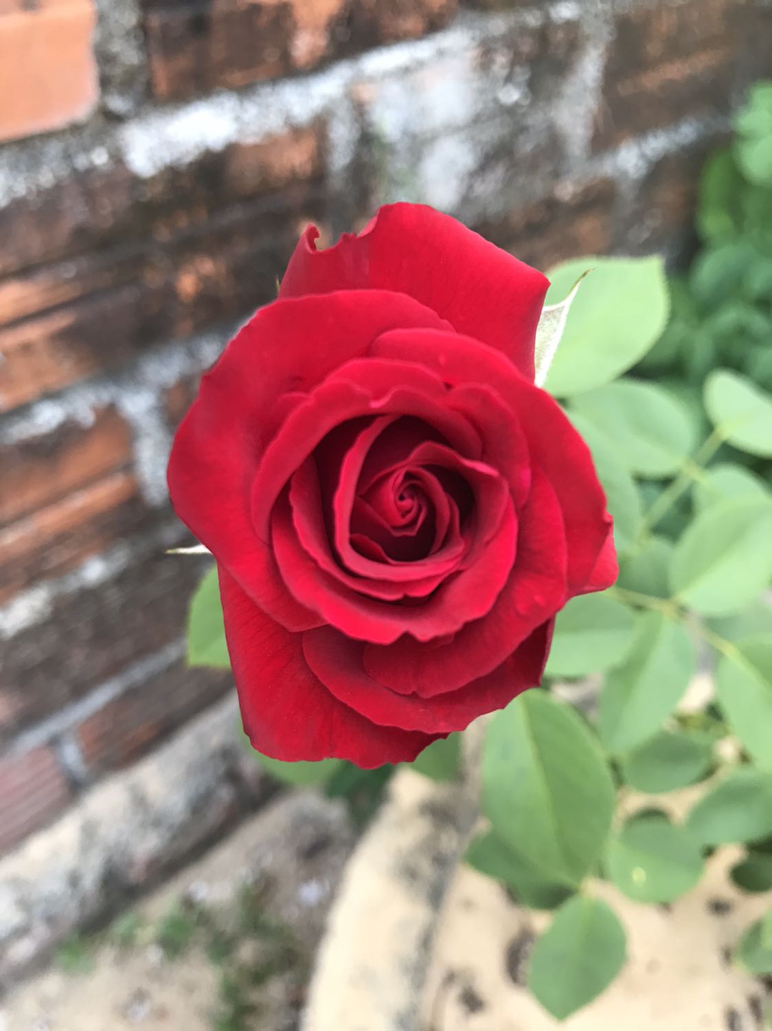 Hài lòng về sản phẩm. Nhưng thái độ a shipper mình tưởng ảnh má thiên hạ. Địa chỉ ghi 1 nơi, ảnh đứng 1 nơi khác bắt khách tới tận nơi đó nhận hàng. Khi khách nhận hàng nạt mặt khách hỏi: đi dc chưa? 
Bó tay