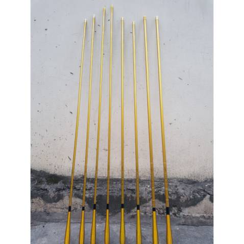 Đi câu thử mới biết đk k biết lên đk cá to k.nhìn ok