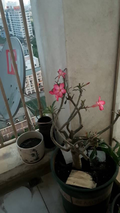 Sách hay, bìa trình bày đẹp, giao hàng đóng gói tốt.