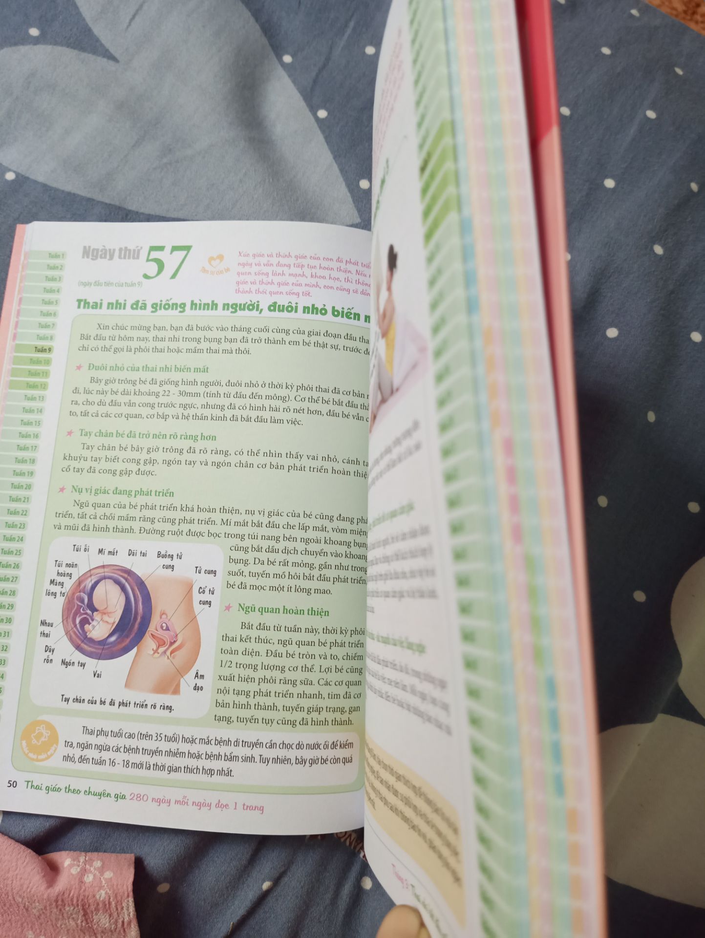 sách in màu bắt mắt, đẹp, dễ tra cứu. đọc sách mới thấy vai trò của người cha cũng quan trọng không kém khi bé vẫn còn trong bụng mẹ. tiki giao hàng nhanh và có bao nilon bọc ở ngoài sách rất cẩn thận.