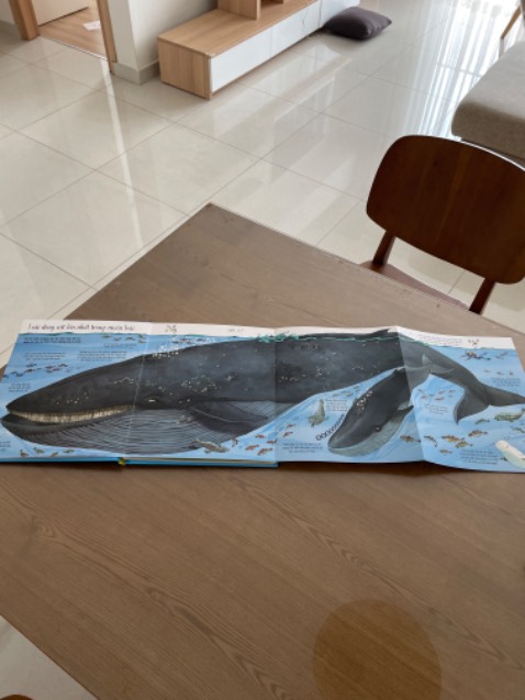 Giao hàng nhanh, đóng gói cẩn thận, sách in đẹp, hình ảnh bắt mắt, sống động. nội dung dịch khá tốt