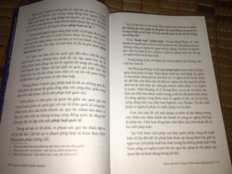 Nội dung tuy sơ lược nhưng rất đủ ý và dễ hiểu. Tuy tác giả nói rằng sách viết cho người ngoài nghề (luật) nhưng đối với mình, nó là một quyển đại cương độc đáo, phân tích và so sánh rất nhiều nguồn từ các tư liệu luật học kinh điển. Sinh viên luật càng nên đọc cuốn này.