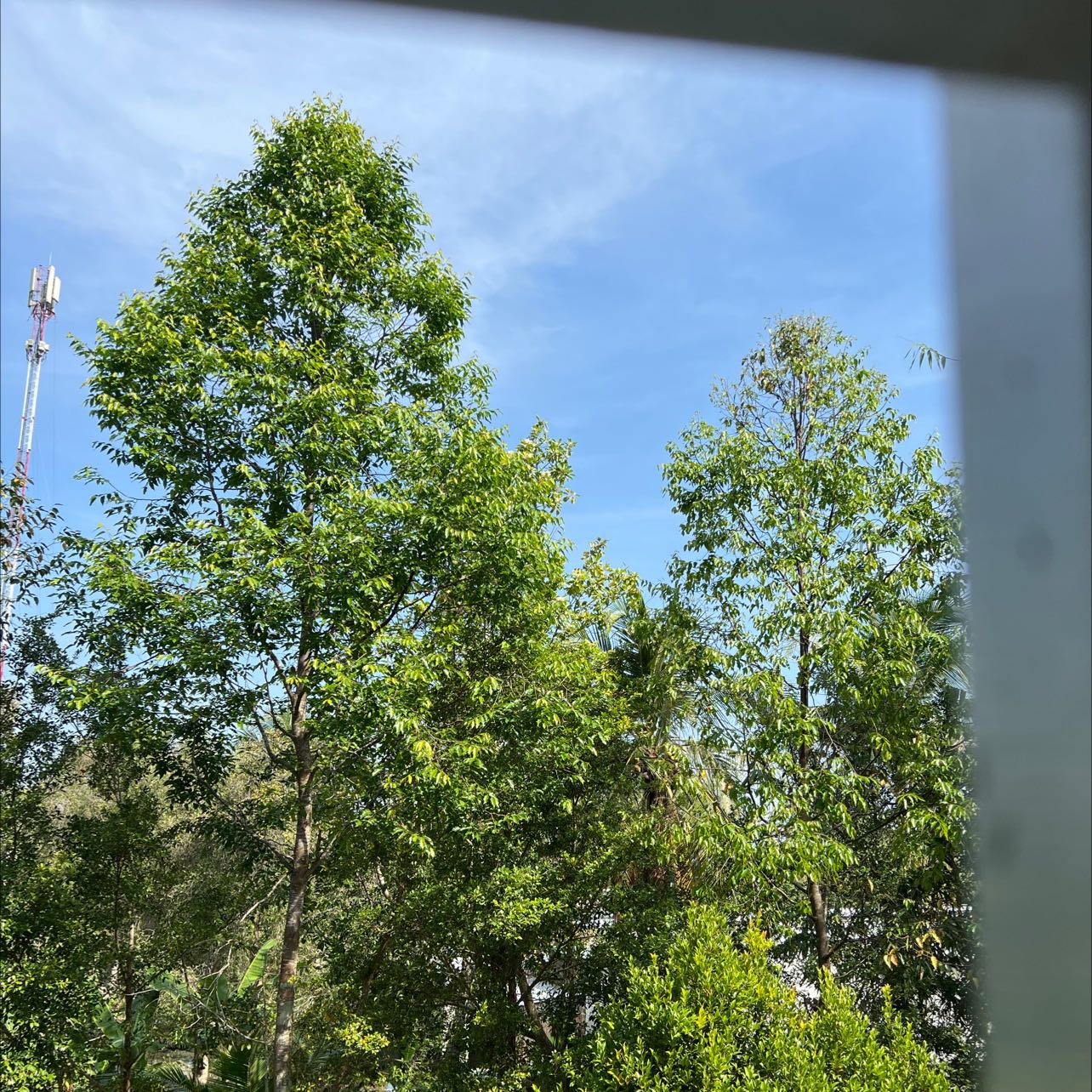 hàng đóng gói cẩn thận và hsd đến năm 2023