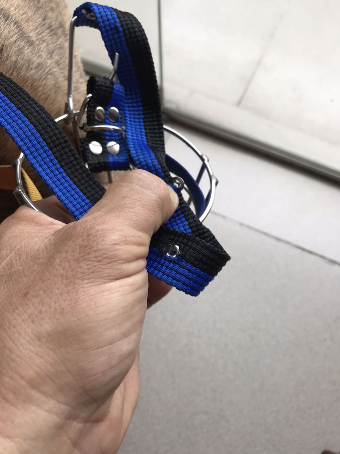 Dây đai tệ quá, khoen lỗ chốt chưa xài đã bong, mối hàn thô lắm, sản phẩm không xứng tầm với giá, thiếu thẩm mỹ khi dẫn thú cưng ra ngoài Dây đai tệ quá, khoen lỗ chốt chưa xài đã bong, mối hàn thô lắm, sản phẩm không xứng tầm với giá, thiếu thẩm mỹ khi dẫn thú cưng ra ngoài