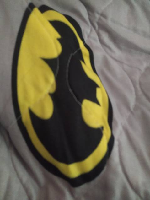 Lịch sử Việt Nam nếu tính từ lúc có mặt con người sinh sống thì đã có hàng vạn năm trước Công nguyên, còn tính từ khi cơ cấu nhà nước được hình thành thì mới khoảng từ năm 700 năm trước công nguyên.