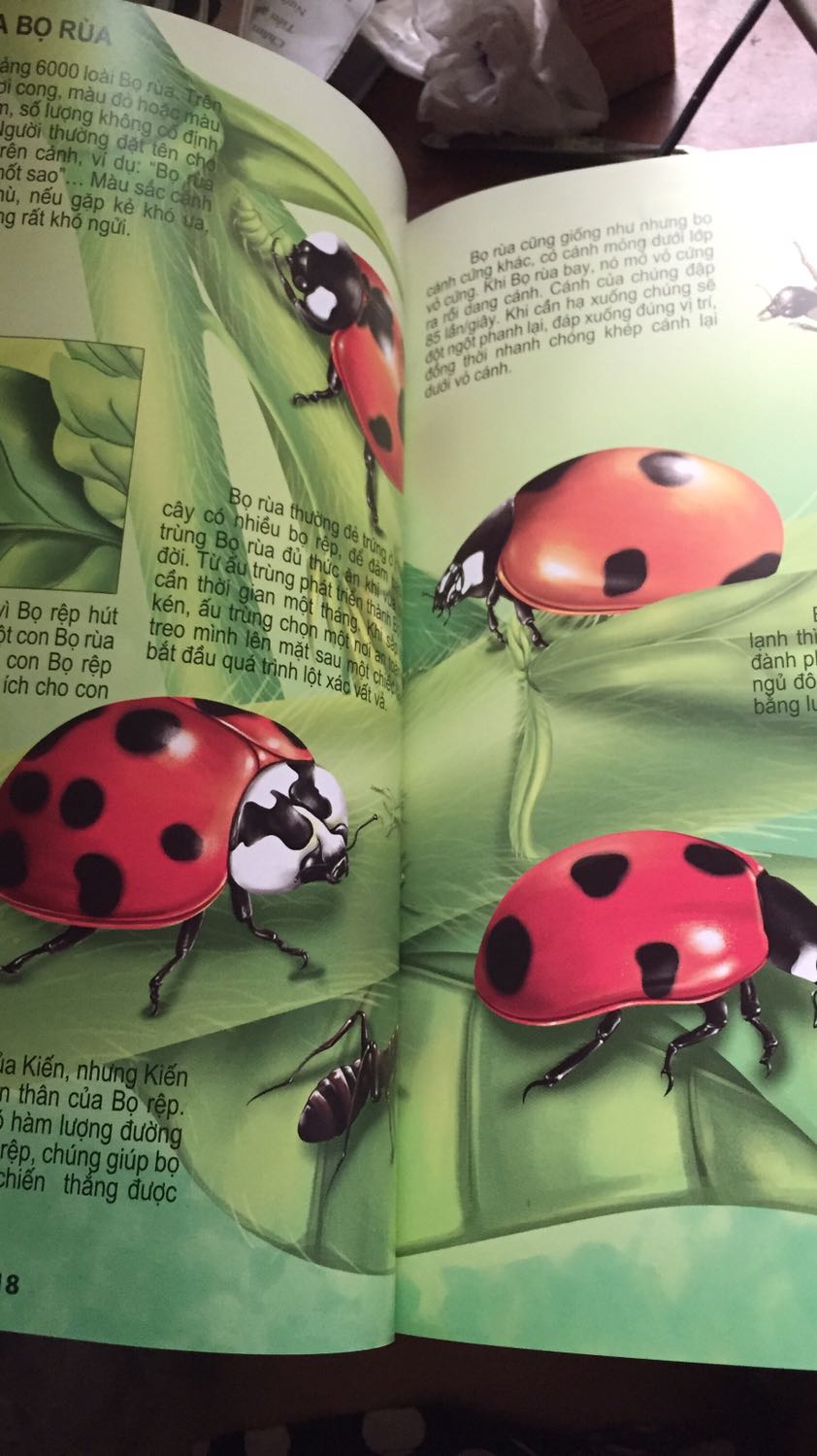 Cuốn sách mỏng nhẹ nhưng thông tin chi tiết v nhất là hình vẽ đẹp vô cùng luôn❤️