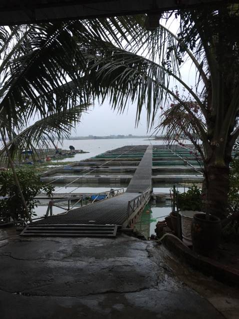 Sản phẩm ok đúng với ihinh ns chung là ổn hfsrtgcrrrfvyu7ffgyug