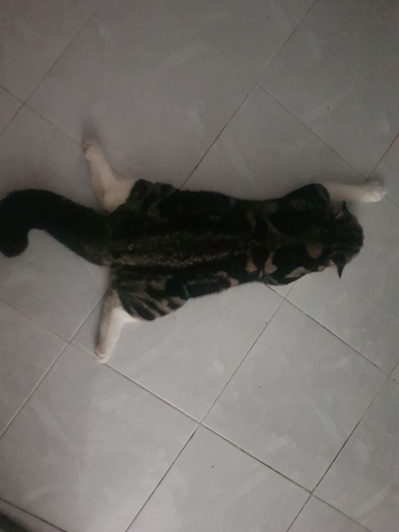 sản phẩm chất lượng sản phẩm chất lượng