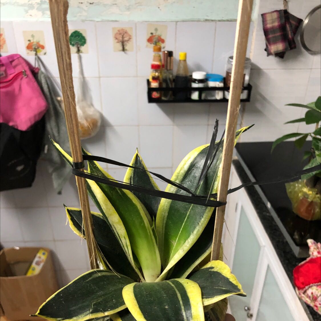 Lá hơi dập nát. Đóng gói ko cẩn thận