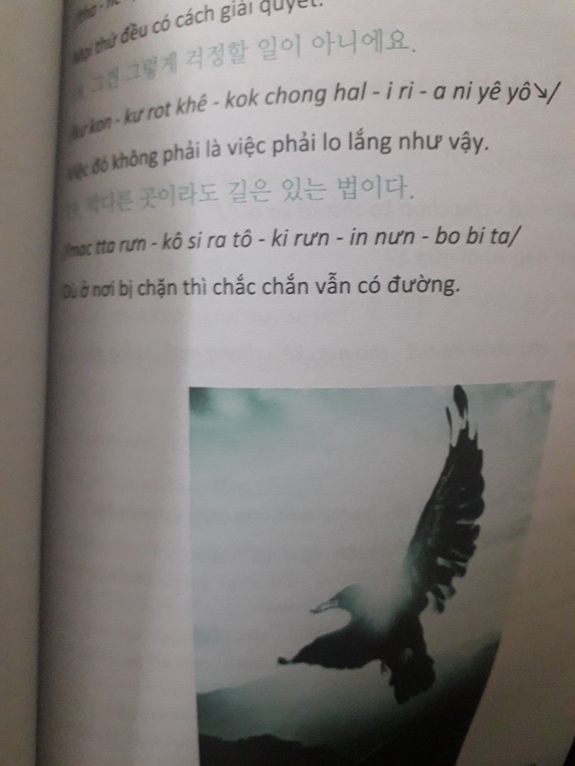 Sách hay, hữu ích với cả những người đã học tiếng Hàn kha khá năm như mình :D Sách hay, hữu ích với cả những người đã học tiếng Hàn kha khá năm như mình :D