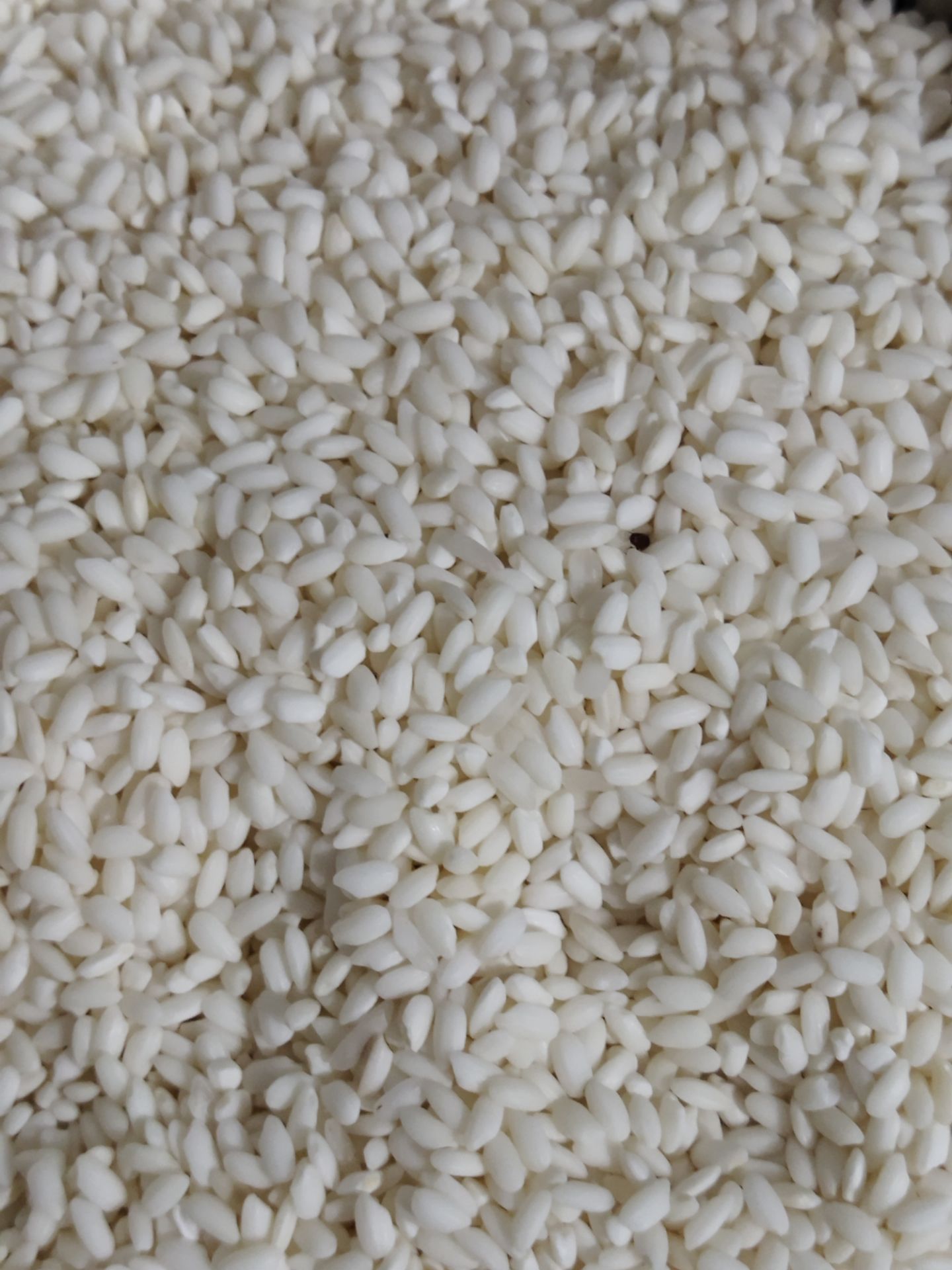 Nhà mình mua 3 túi, mới ăn túi đầu tiên thì thấy bị mọt, có sâu. Gạo hôi