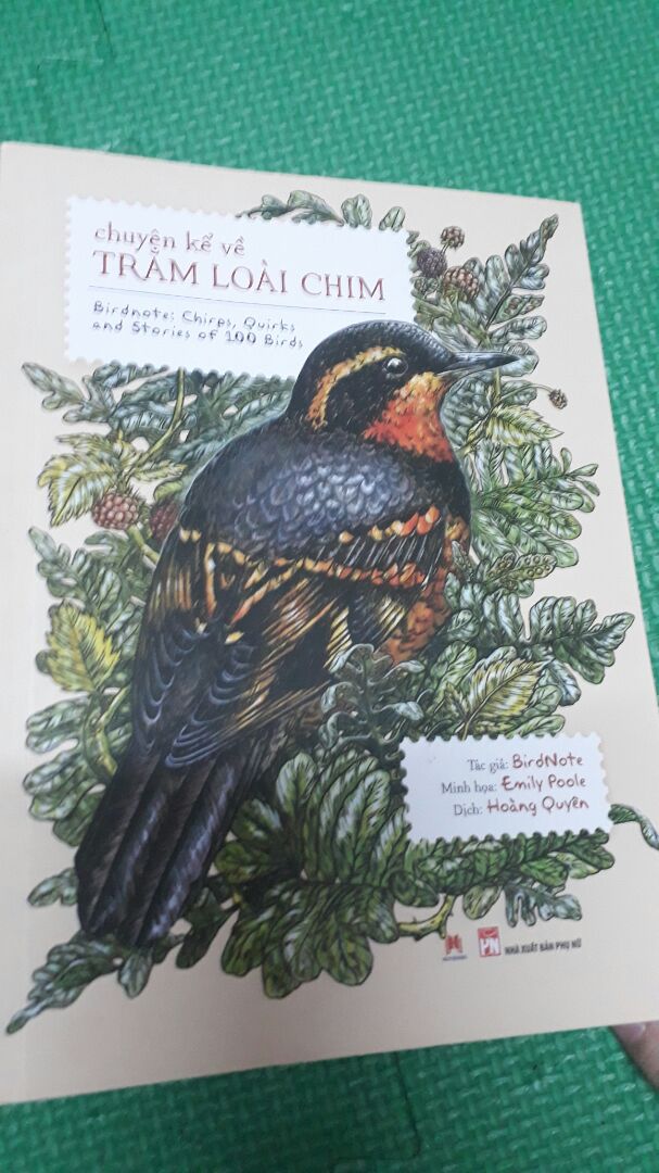 bìa sách và hình vẽ bên trong đẹp, giấy trơn vàng , hình màu, sách nói về hình dáng và đời sống về các loài chim .