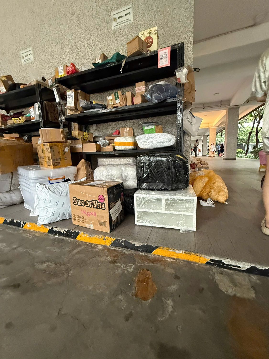 Gon gang mau sac rat ok