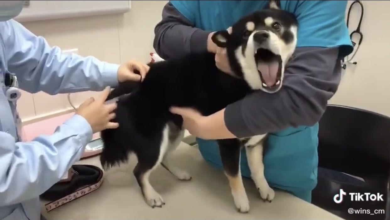 Tốt (ảnb chỉ kiếm xu)