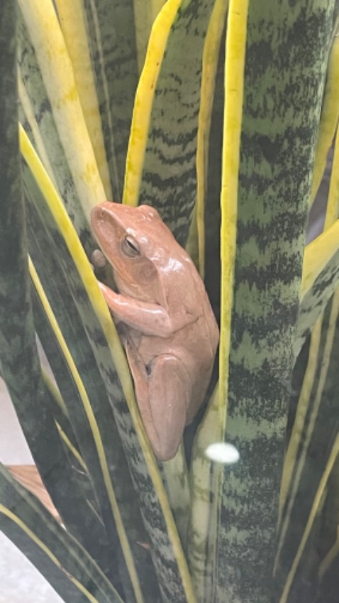 Mình mua màu xám đen, màu đẹp, sang. Dễ lắp ráp sử dụng. Giao hàng nhanh. Nói chung đáng mua ạ. Mình mua màu xám đen, màu đẹp, sang. Dễ lắp ráp sử dụng. Giao hàng nhanh. Nói chung đáng mua ạ.