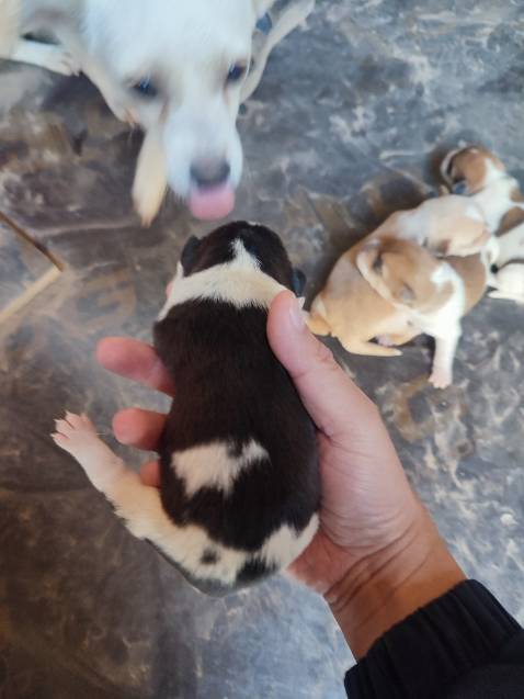 Hình ảnh mang tính chất minh hoạ Hình ảnh mang tính chất minh hoạ