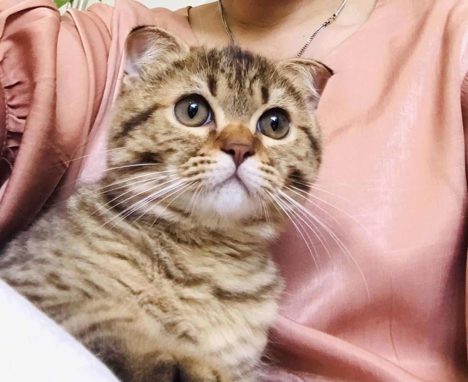 Giao hàng cực kỳ nhanh chóng, km cực khủng, đã từng dùng nên không ngần ngại mua ngay (xin lỗi hình ảnh klq)