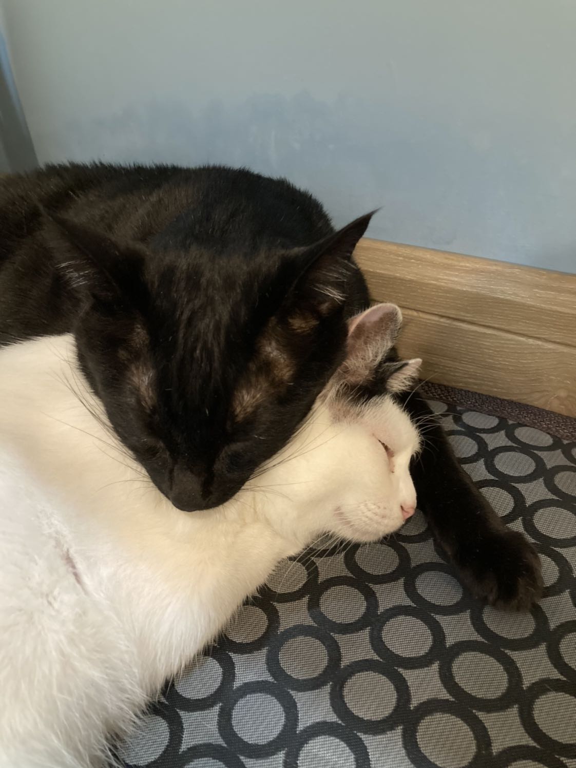 Rẻ. Nói chung okkkk Rẻ. Nói chung okkkk