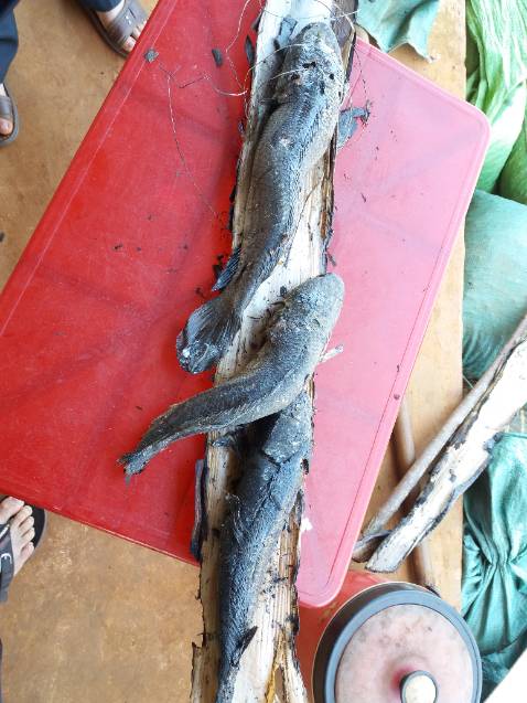 hình ảnh chỉ lấy xu, giường giao chậm, mấy thanh chắn ngang hơi yếu