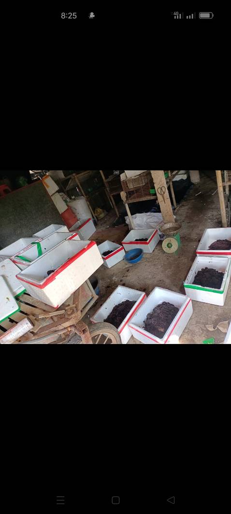 Hàng đóng gói cẩn thận, giao hàng nhanh, chưa dùng nên chưa biết tn