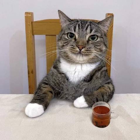 Mình đọc được vài chương đầu trên ebook và thấy muốn mua bản sách giấy để nghiền dần =]]. Lâu rồi không đặt sách trên Tiki, quay lại thấy giá tốt nên chốt đơn luôn. Thấy tiki bây giờ đóng sách cẩn thận hơn hồi trước, về tới tay sách vẫn nguyên vẹn. Không có gì để phàn nàn =]]