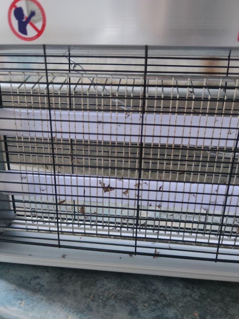 Với không gian thoáng và rộng như ở quê, rất là nhiều muỗi, Đèn này bắt muỗi khá tốt (Trong điều kiện tối, tắt hết các thiết bị chiếu sáng xung quanh)