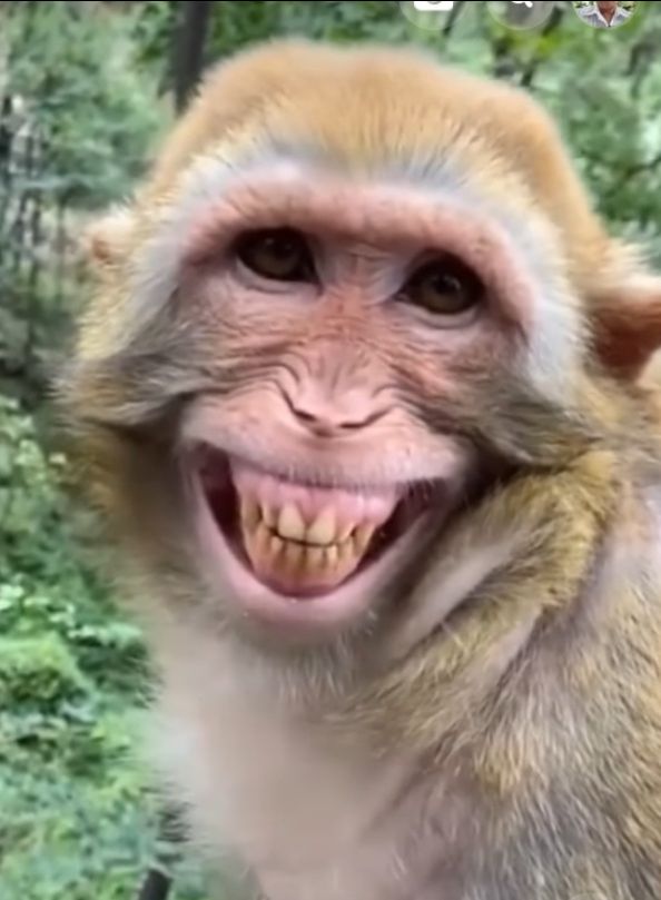 sản phẩm đẹp chất lượng.rằn ri nhìn thấy ngầu    tạm cho 9 điem thời gian mới biết bền hay không..