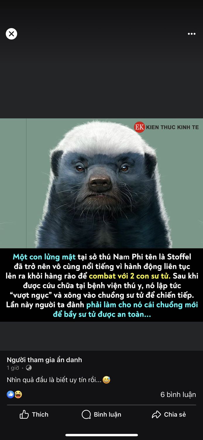 Hữu ích, trình bày rất hay, giao hàng nhanh