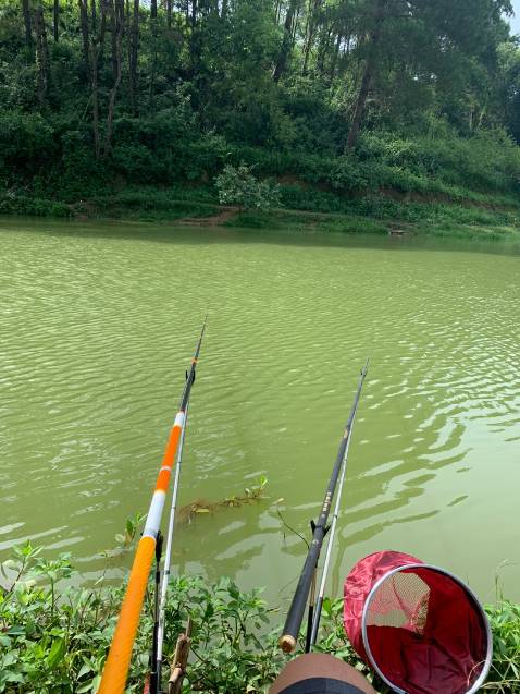 Sản phẩm tốt giao hàng nhanh đóng gói cũng cẩn thận không bị hỏng hàng