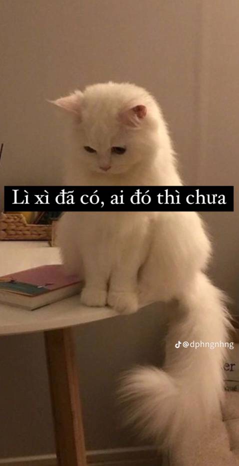 An toàn , dây dài , sài oke nha