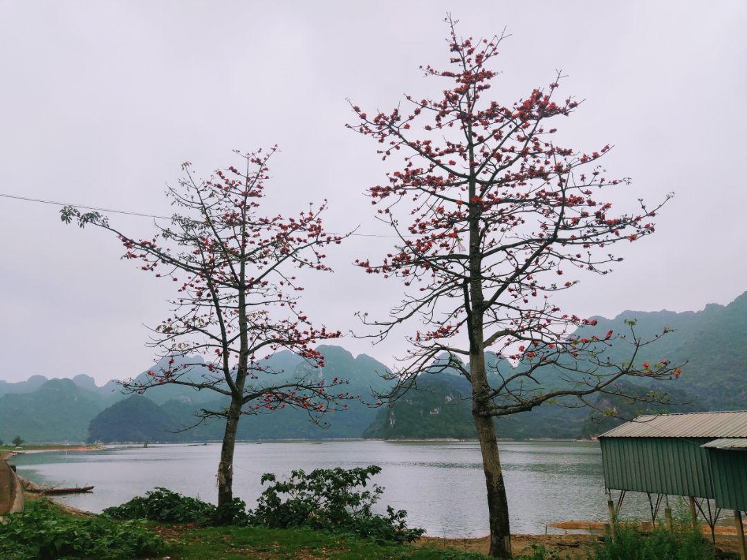 chất vải rất ổn, giá hợp lí. mình đã mua lần thứ 3 rồi và vẫn tin dùng. k có ảnh thật nên lấy tạm ảnh ở quê mình vậy. nói chung là rất đáng mua.