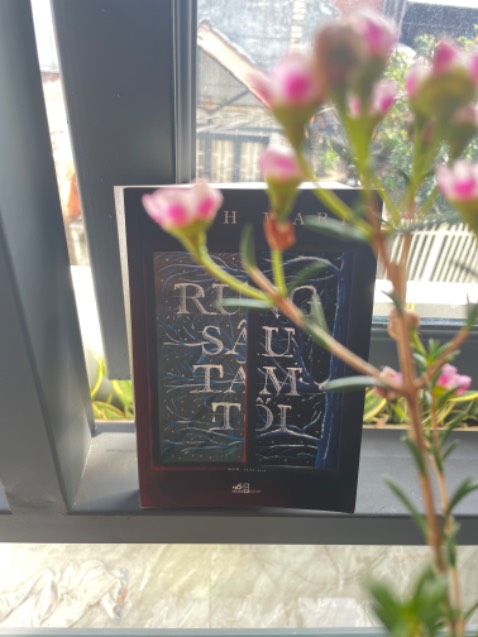 Với "rừng sâu tăm tối", câu chuyện với chủ đề không mới, những bất ngờ có thể dễ dàng bị "bắt bài", các tình tiết khá nhẹ nhàng, không có nhiều yếu tố giật gân hay thót tim. Tuy nhiên, với "rừng sâu tăm tối", Ruth Ware đã ma g đến một câu chuyện với những định hình nhân vật rất gần gũi và có chút thân quen. 
Ai trong chúng ta sẽ đề quen biết một cô nàng Clare đáng yêu, tài năng có chút khuynh hướng là trung tâm vũ trụ. Hay dễ dàng tìm được cô bạn nhiệt huyết, hết mình vì bạn mình đến mức ám ảnh Flo, hay anh chàng Tom đỏm dáng có chút bốc đồng phong trần, người mẹ trẻ cuồng tín đam mê con mình như Melanie, hay cô bạn vừa hóm hỉnh lại bộc trực như Nina, một cô gái khá biệt lập nhưng rất nhạy bén như Nora. Mỗi nhân vật đều mang cho mình một đặc điểm nổi trội, khác biệt để khi cùng tề tựu lại ở buổi tiệc độc thân của Clare đã làm nên một câu chuyện khá thú vị.
Với thể loại trinh thám, "rừng sâu tăm tối" có thể xem là món khai vị nhẹ nhàng, vừa đủ tuy nhiên cũng không kém phần hấp dẫn để những ai mới dấn thân vào có thể thưởng thức.