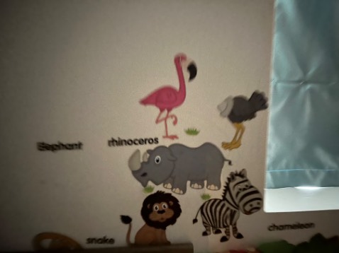 Hoạ tiết đẹp, màu sắc đẹp, dễ dán