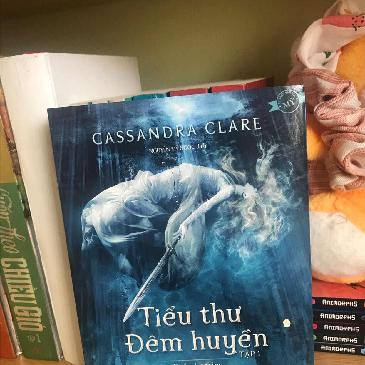 Sách được shop bọc vô cùng cẩn thận, giao hàng cũng ok không bị móp gì cả. Mua đúng dịp sale 50% còn được tặng kèm một cuốn khác nữa nên quá hời. Nội dung thấy review trên Goodreads khen quá trời, nhất định sẽ mua hết cả bộ😘