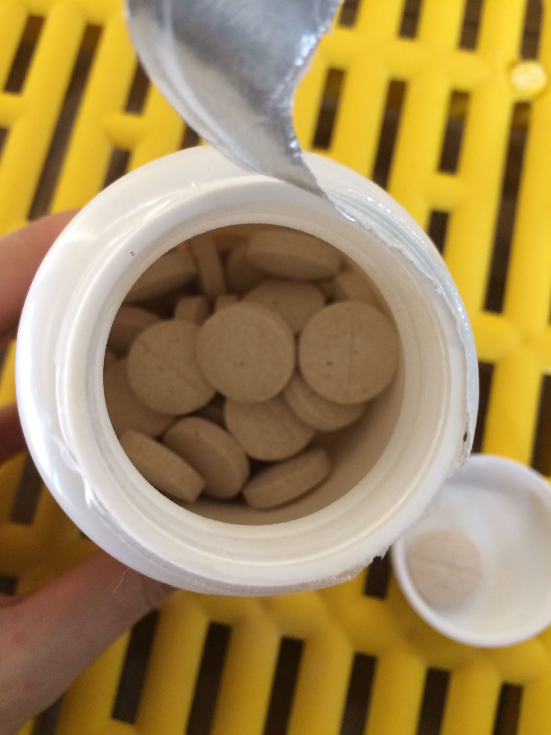 Viên mềm dễ bẻ, cũng rất to, cho cún tự nhai được, date cũng rất mới, mình mua của Kun miu pet shop cùng với sàn nhựa lót chuồng, 
thấy hàng khá ổn nhé