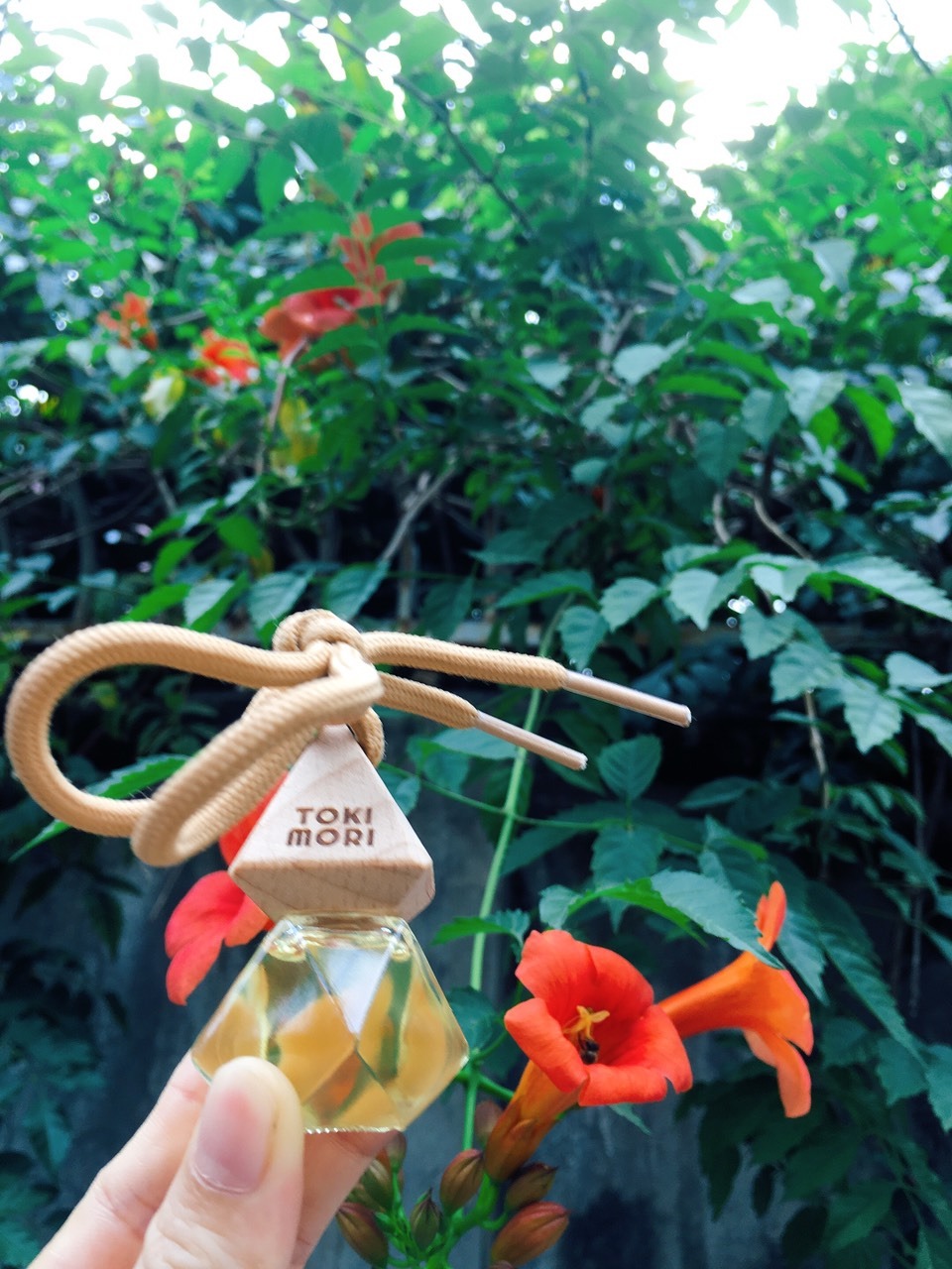 Đơn hàng thứ 3 mình mua của shop, không có gì phàn nàn luôn. Mình mua dùng để treo trong phòng và trong tủ quần áo để đuổi muỗi bu với khử ẩm do mùa này bắt đầu mưa, đồ treo hay bị có mùi ẩm mốc. Tiki giao hàng nhanh.
Mấy anh đi xe mà trên loại tinh dầu này là thích lắm luôn ý, giảm bớt mùi của xe ô tô lại nè.