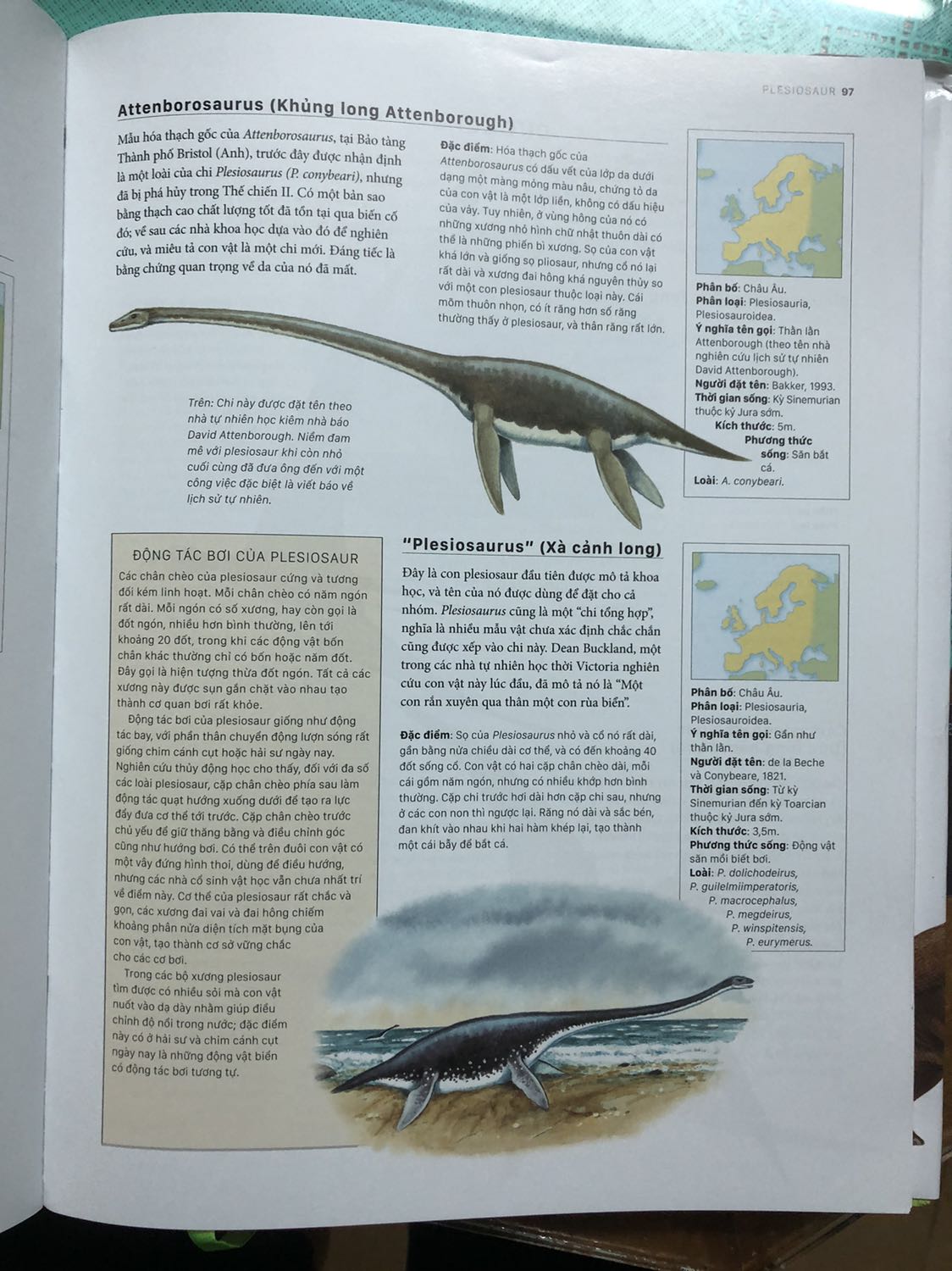 Hàng giao nhanh, đóng hộp cẩn thận, chắc chắn. Cu con mình rất thích vì sách viết rất đầy đủ về các loại khủng long. Sách được đóng bìa dày, đẹp, rất đáng để mua.