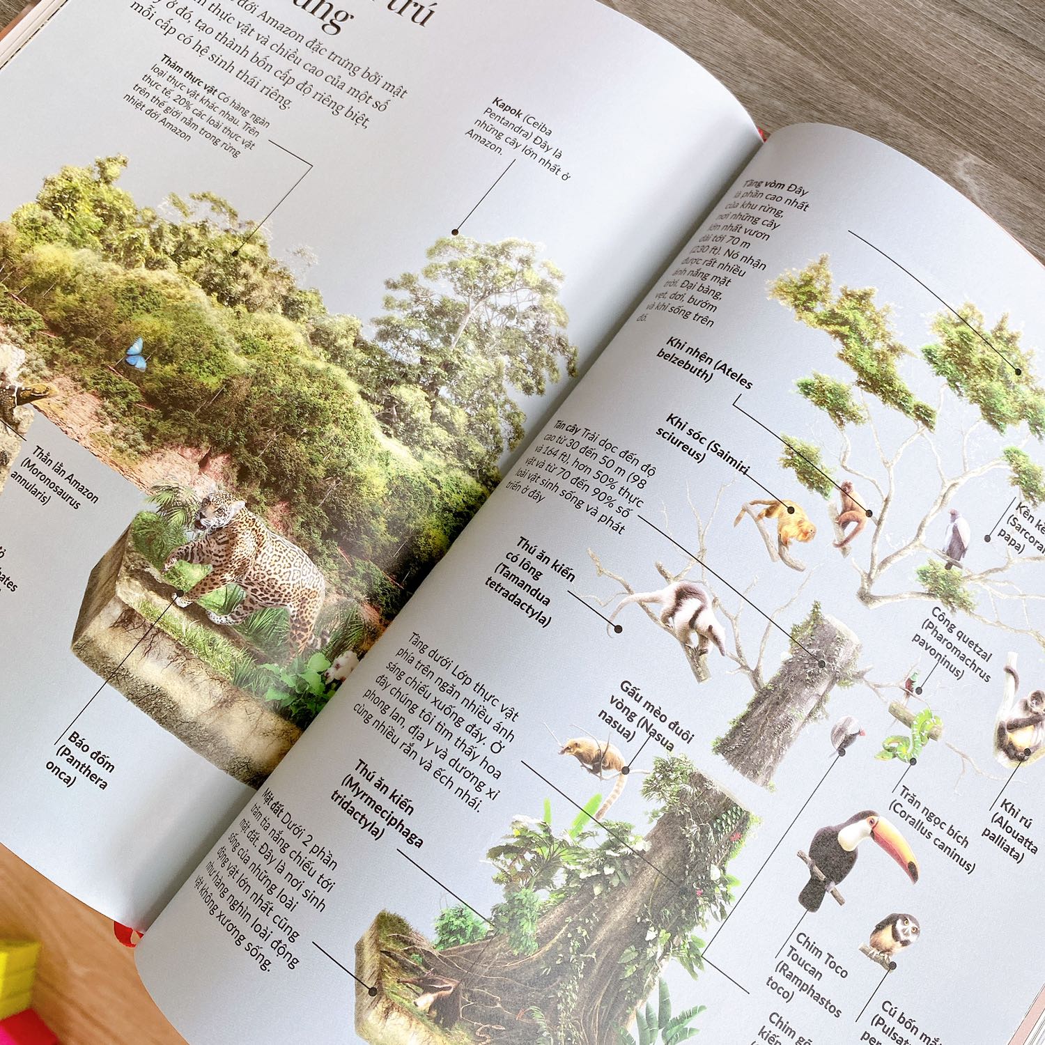 Nội dung sách hay cực kì. Màu sắc in rất đẹp. Nhưng chất lượng đóng sách tệ. Dễ bung chỉ. Mang về ngày đầu đã bung chỉ, phải lấy băng keo dán.