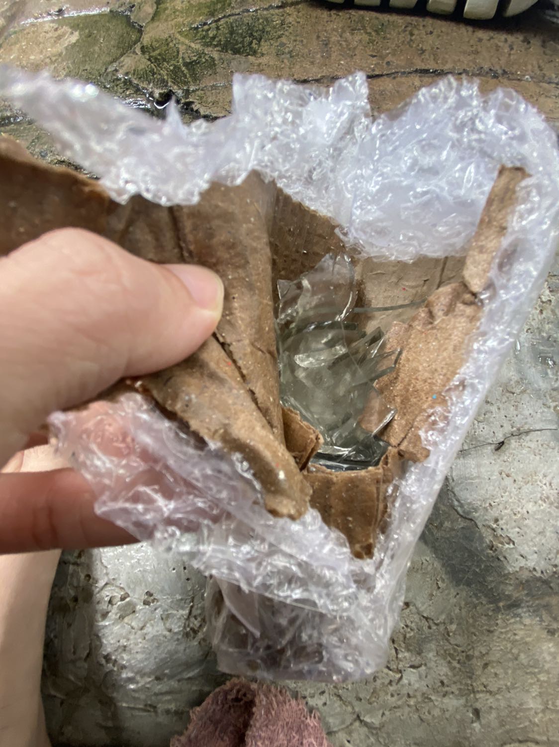 thứ tôi đặt hàng và thứ tôi nhận được hoàn toàn khác nhau