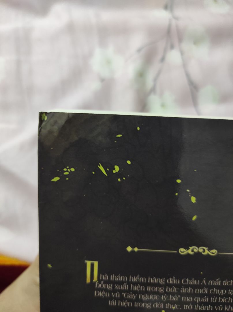 mới đọc đc mấy trang đã thấy sạn, ko biết ông này mất tích 10 năm hay 5 năm.... chưa đọc xong nên tạm đánh giá 1 sai tội giao hàng bất cẩn bookset móp, cong hết quyển 1.