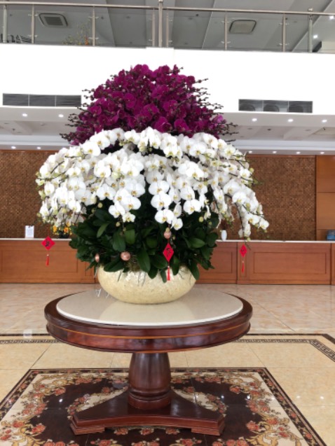 Sp tốt, đóng gói cẩn thận