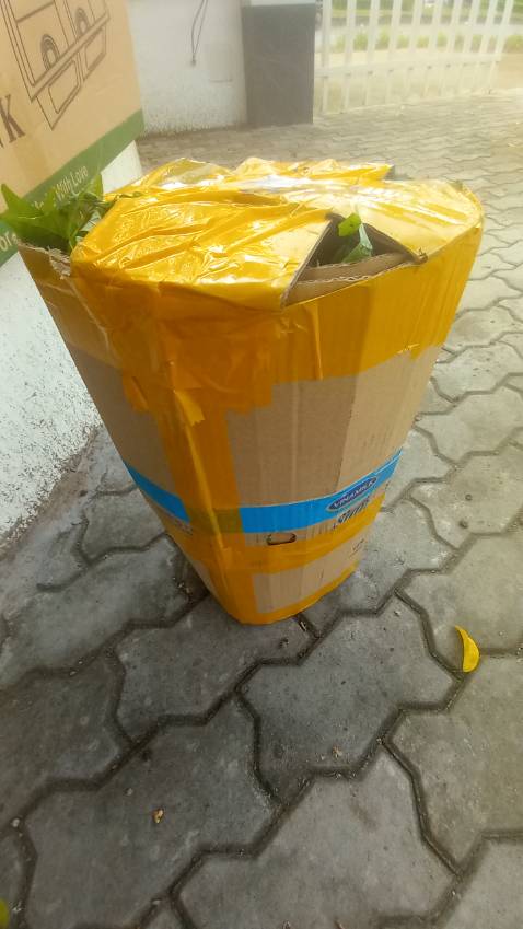 ok cây tươi xanh,đóng gói cẩn thận uy tín là trên hết cho 5 sao luôn