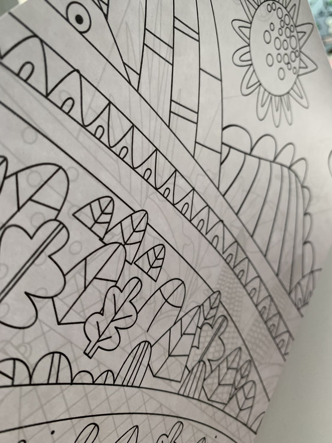 Chất lượng sao mà tệ quá, giấy rất mỏng, sần,xám xám chứ không trắng (zoom kĩ sẽ thấy)  giấy này tô lên màu xấu lem nhem. Hình in xấu, được mấy hình countryside đẹp là chụp hình quảng cáo, còn lại mình không thấy đẹp, với giá này mua được nhiều cuốn chất lượng tốt hơn nhiều. Nếu được mình muốn trả hàng lắm, có mấy chục ngàn nhưng cầm cuốn sách mỏng dính chất lượng như vậy mình thấy tiếc. Cho 2 sao vì cách đóng gói chỉn chu của Tiki thôi.