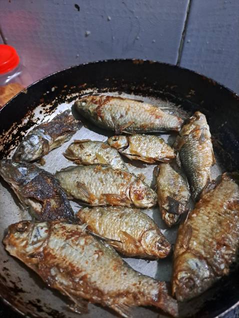 Món hàng rất chi là ok dầy đủ mọi cái nhìn hơi mong manh nhưng chắc kbsao