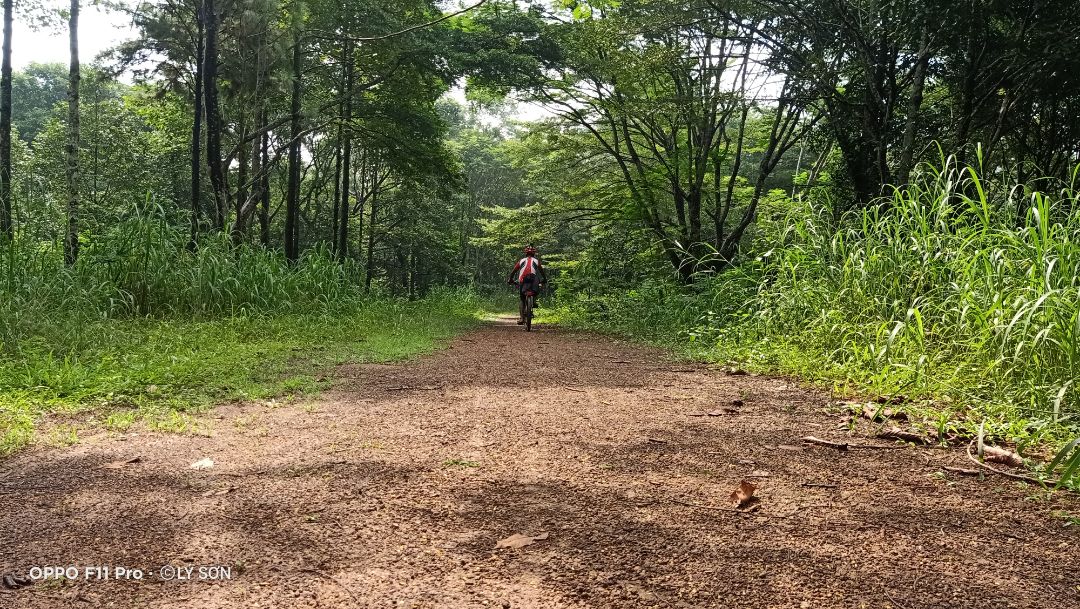 mọi người chú ý cái remote, lấy cột dây đeo liền nhe, tui bỏ trong túi áo lúc giặt đồ quên giờ vô nước hư luôn phải chụp bằng hẹn giờ