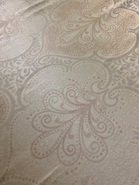 Đũi mềm, màu trắng nên trông mỏng và rõ, hơi ngắn.