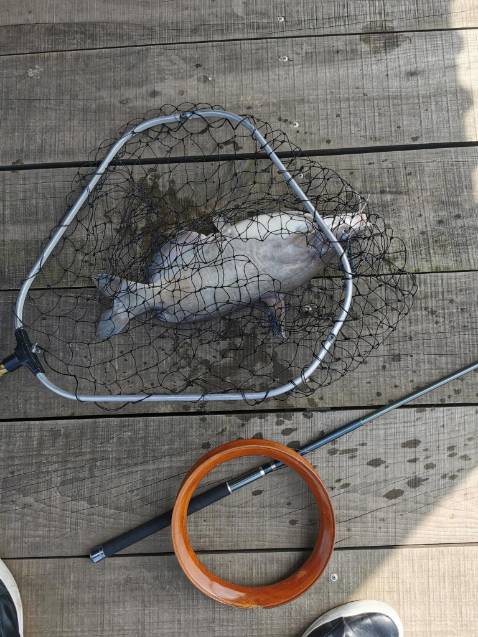 Đẹp đáng giá tiền